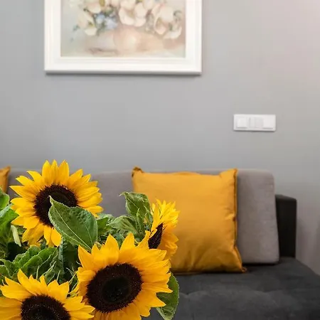 Shortstaypoland Wybrzeze Kosciuszkowskie Apartamento *